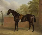 Paul, John Bay Stallion oil painting picture wholesale